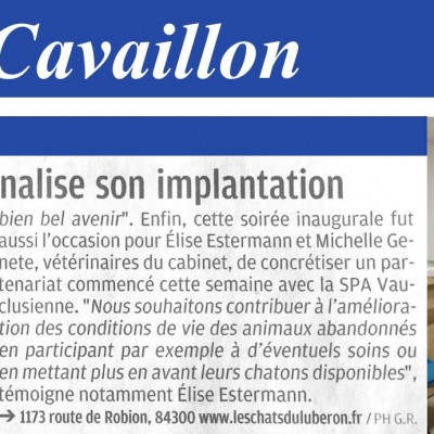 La Provence : Exclusif, un cabinet vétérinaire dédié aux félins dans le vaucluse