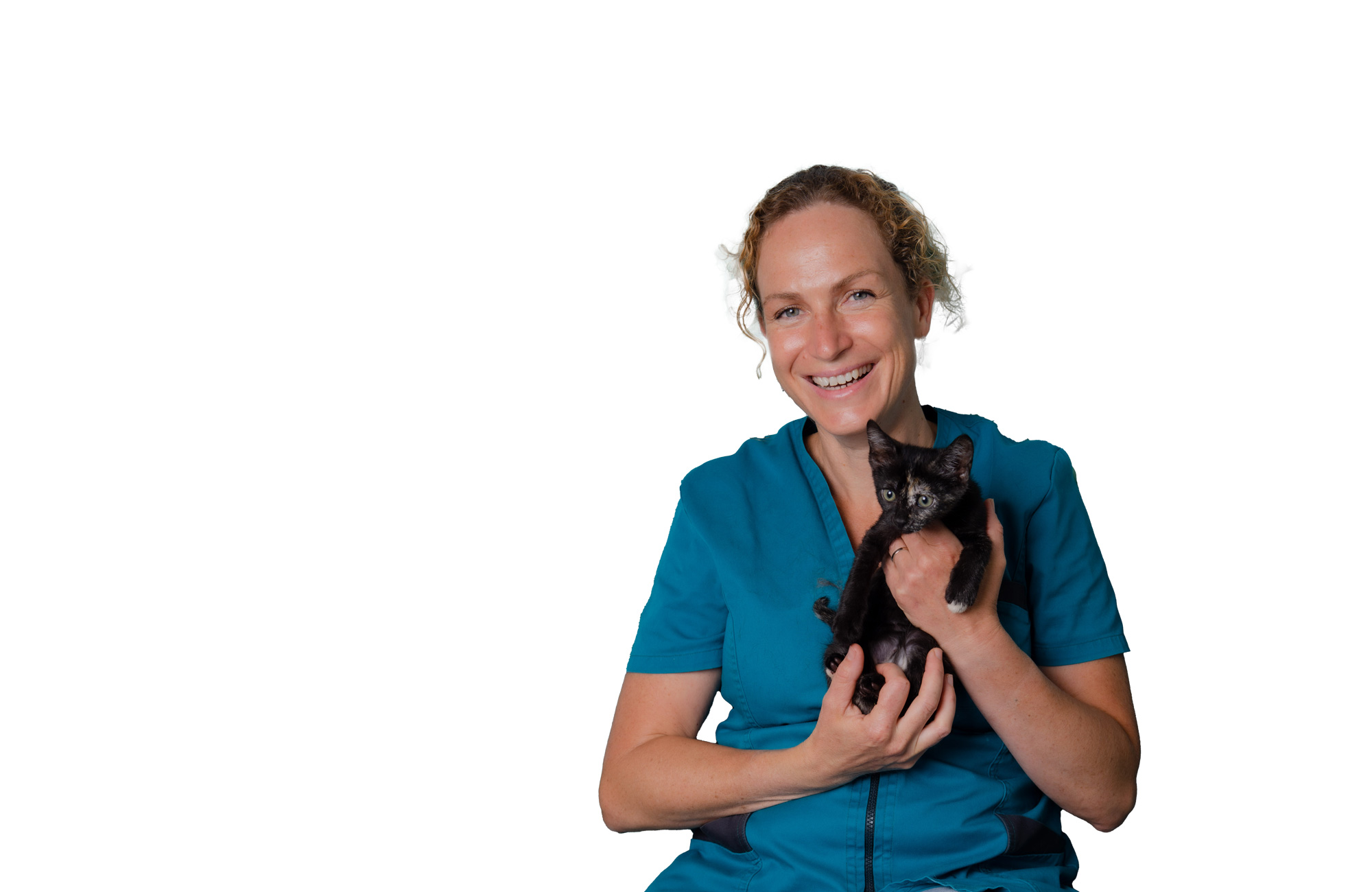Vétérinaire pour chats