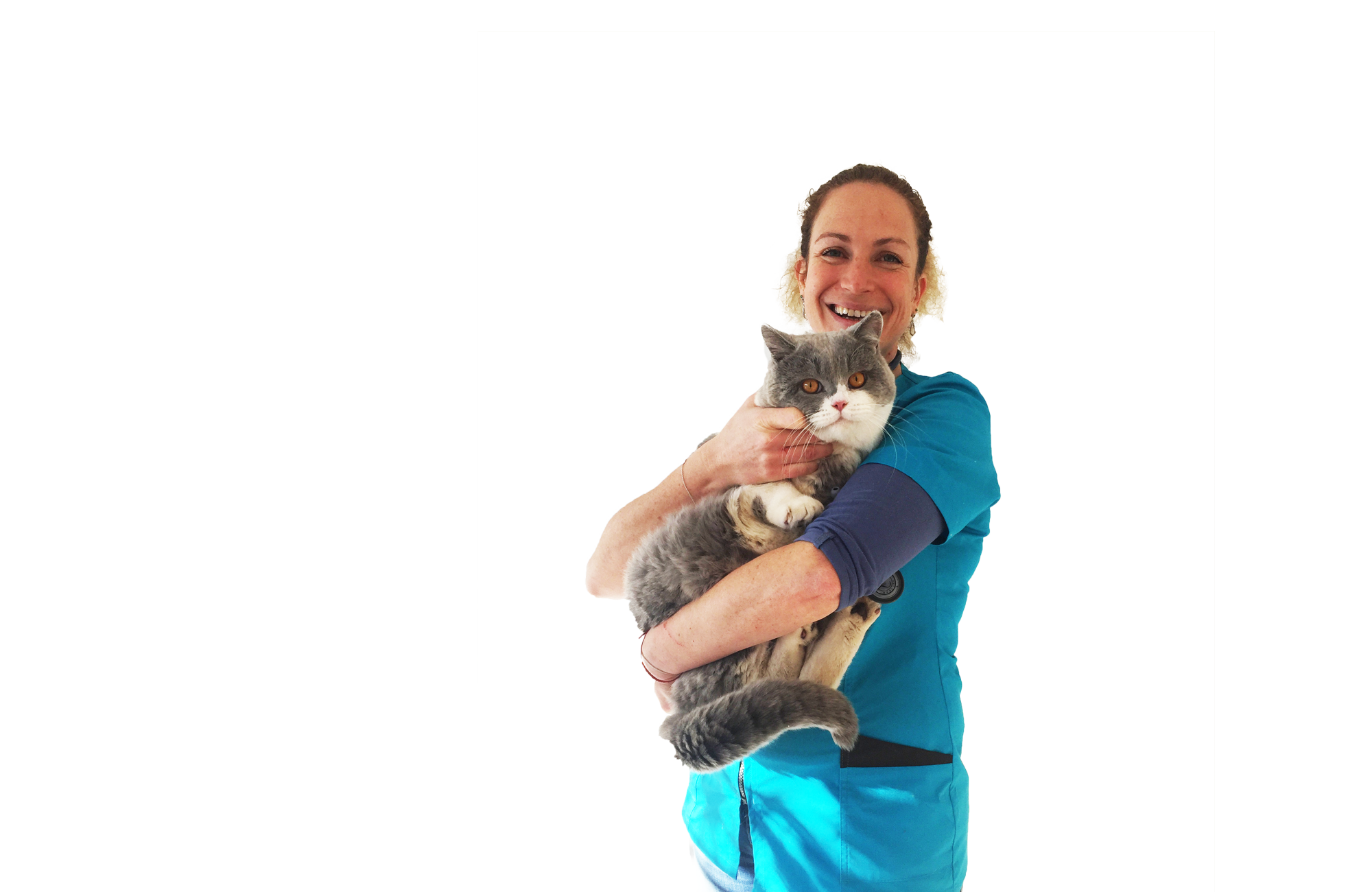 Vétérinaire pour chats