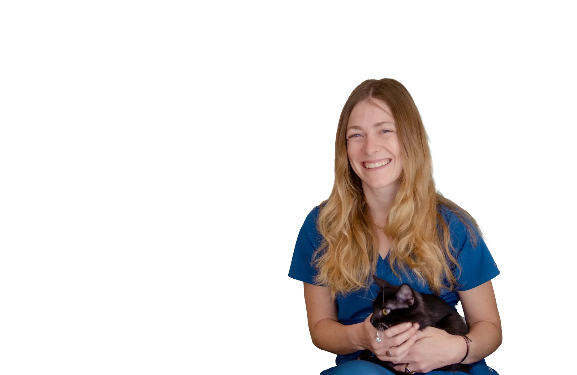 Vétérinaire pour chats