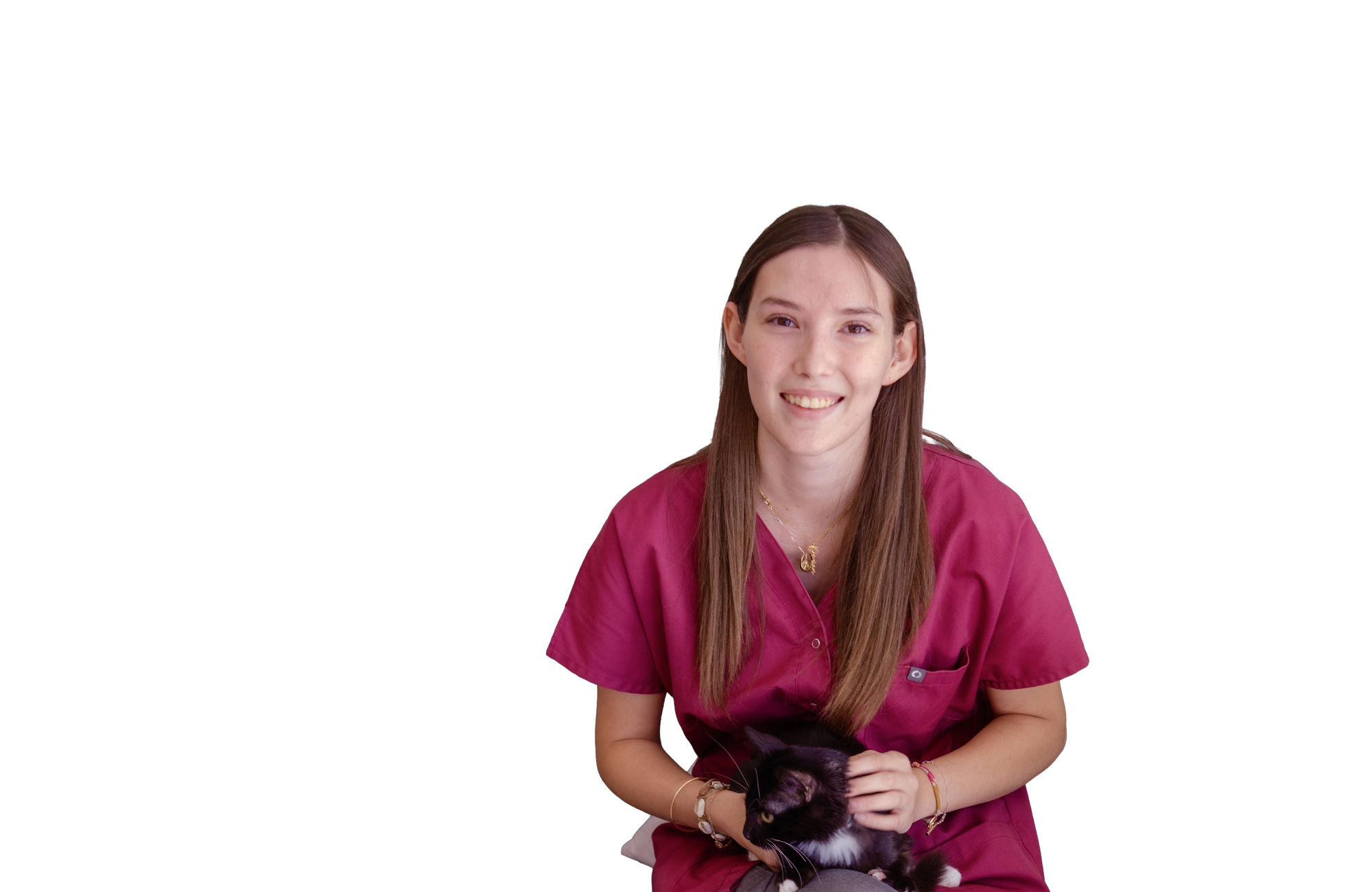 Assistante vétérinaire