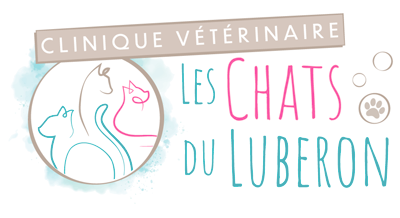 Les Chats du Luberon