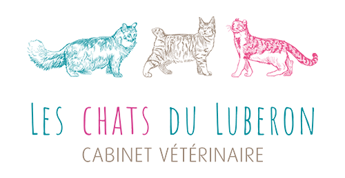 Les Chats du Luberon